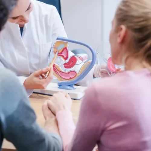 Reprodução Humana Infert1ilidade 001